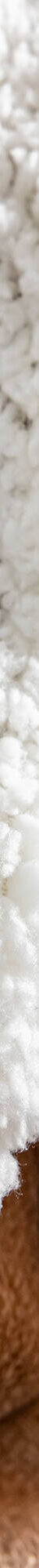 Couverture double face polaire et sherpa (noisette) Couverture double face polaire et sherpa (noisette)